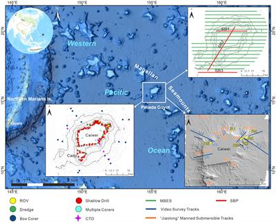 High resolution geomorphological classification of benthic structure on the Western Pacific Seamount